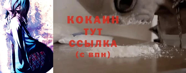 мяу мяу мука Иннополис