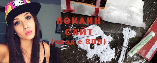 мяу мяу мука Иннополис